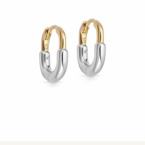 Astley Clarke earrings. Brand new.